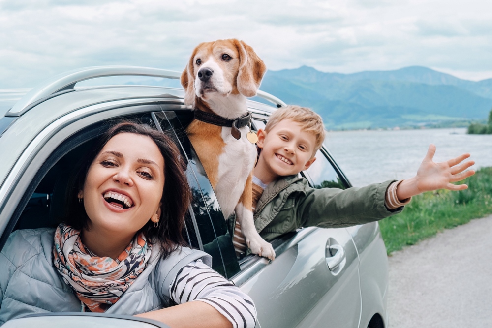 10 Must Know Pet Friendly Travel Tips for Stress Free Trips with Your Furry Friends
