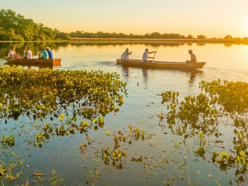 A Guide to Visiting Brazils Pantanal — hero image