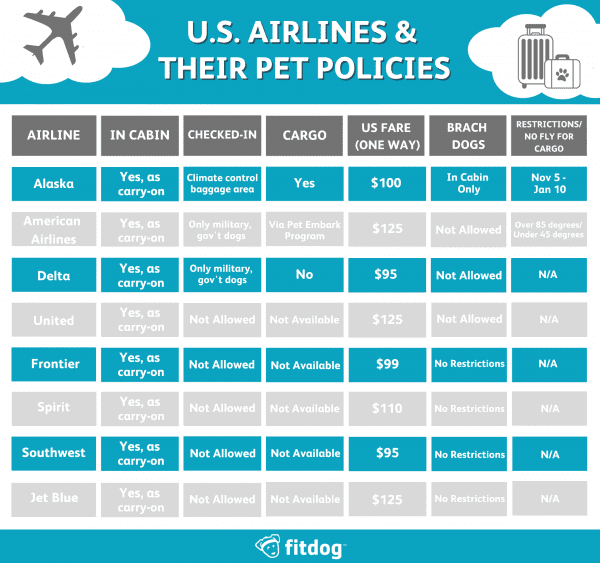 Best Airlines for Pet Travel- Know the Policies Before You Fly — hero image