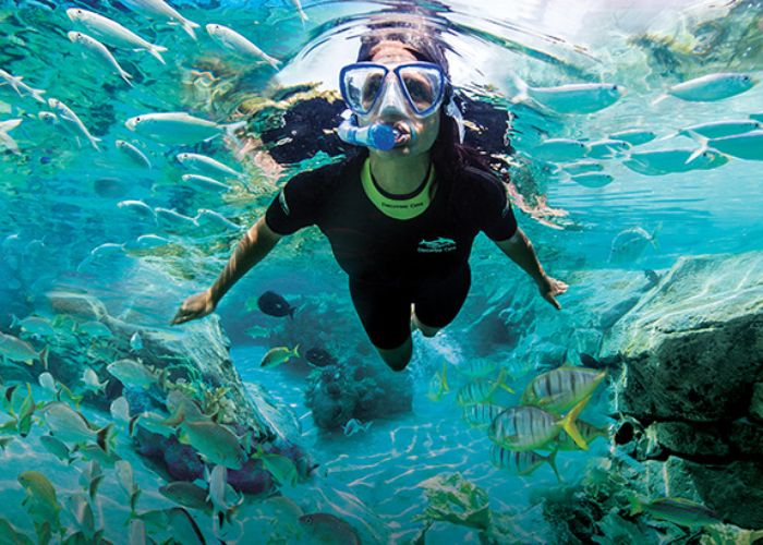 Scuba Snorkeling and Tours in Orlando Florida: